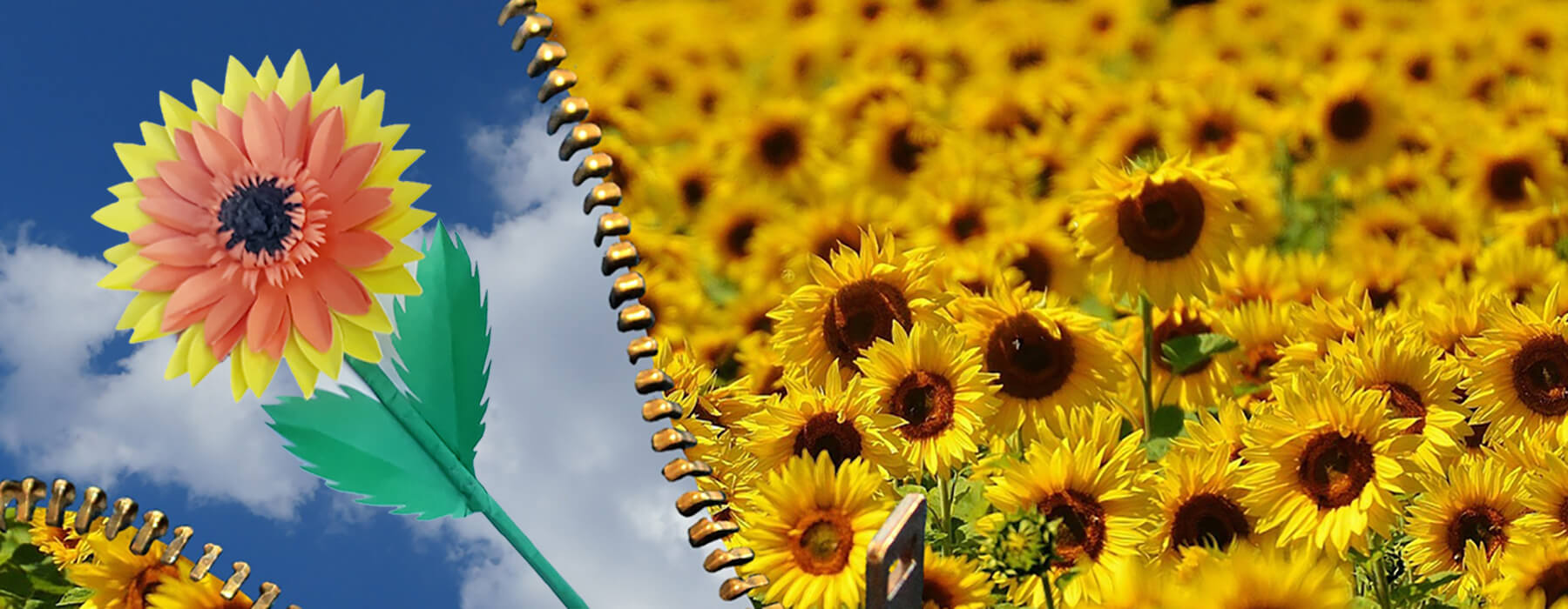SunflowerStalk.com Make Your Own Origami Sunflower