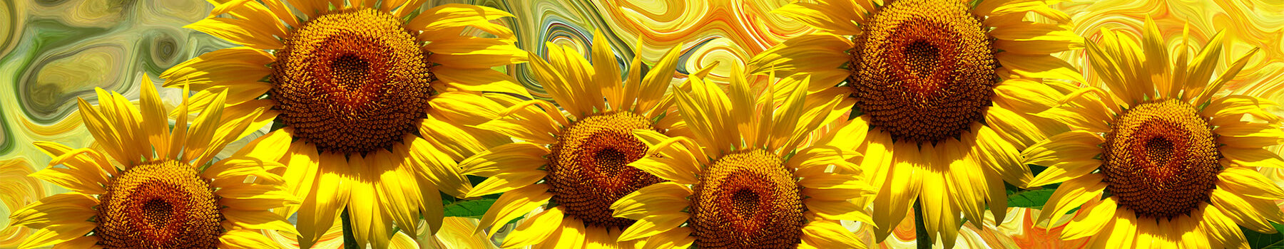 SunflowerStalk.com Bags